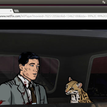 netflix on linux 4 100451677 orig
