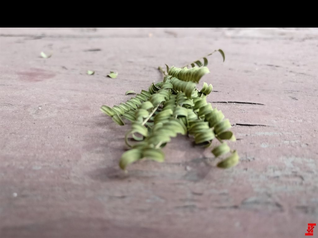 oneplus 5 pretendus echantillons camera 5
