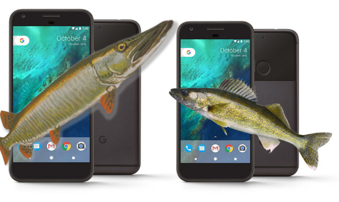 Pixel 2 : Google nous réserve-t-elle des surprises avec les spécifications ?