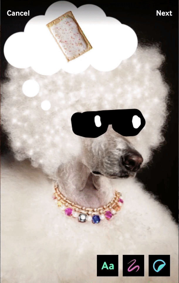 Giphy lance son outil GIF Maker pour les navigateurs mobiles 48 PoodleCaption