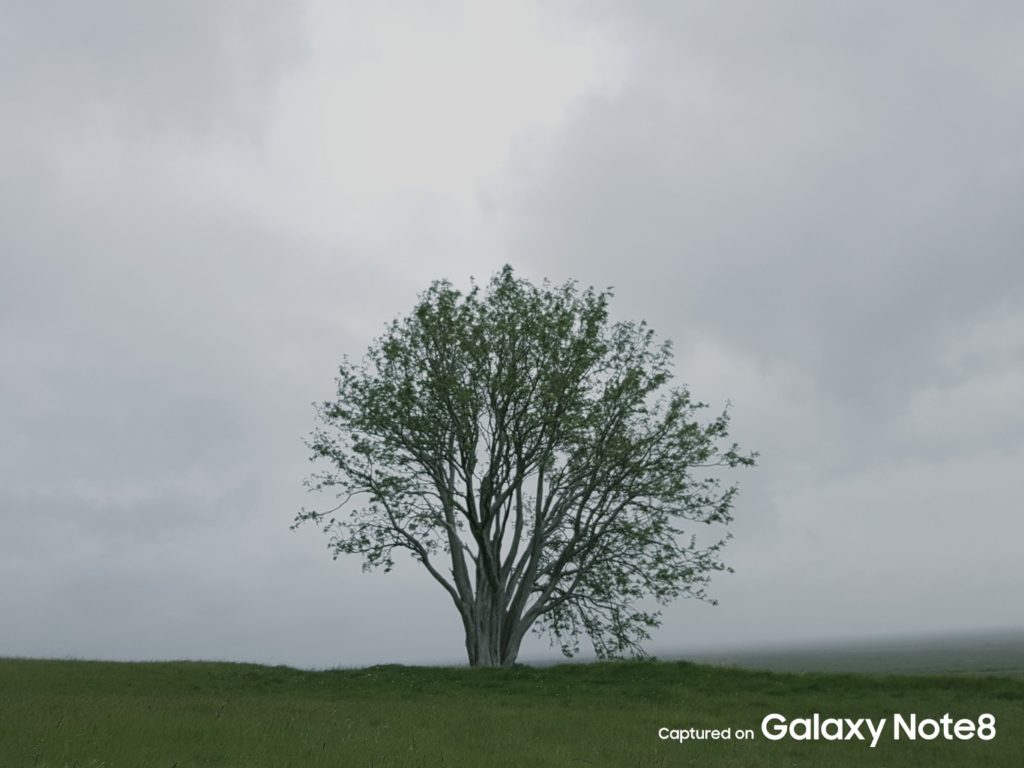 Galaxy Note 8 official sample main camera 1