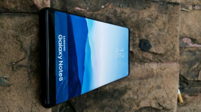 zK5GEkorxCU9pt4zZp5rr3 650 80