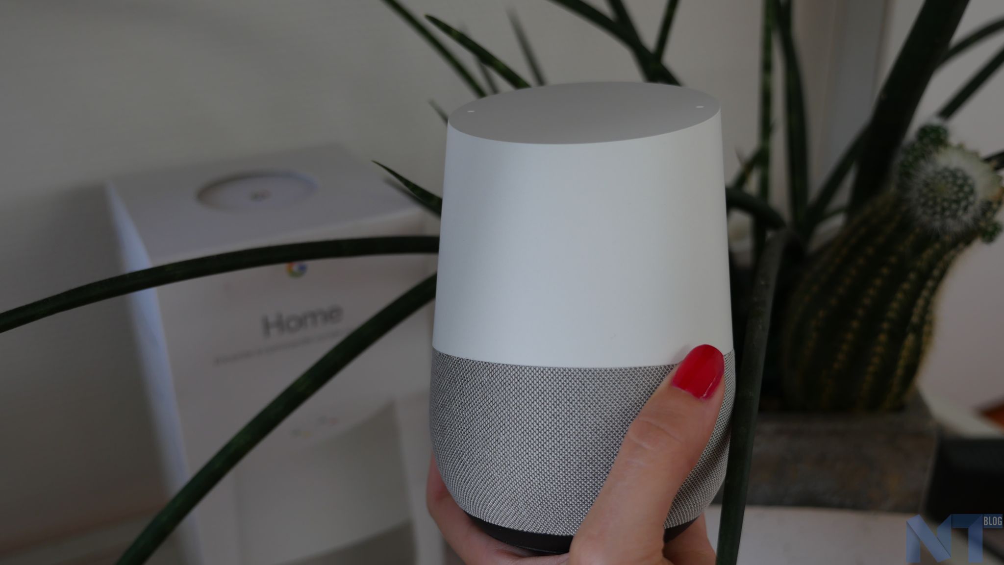 Google Home 71