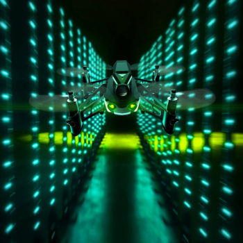 Parrot Brand Studio // Damien B