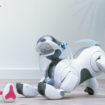 aibo ers 7 ad 4