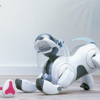 aibo ers 7 ad 4