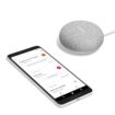 google home mini chalk 3