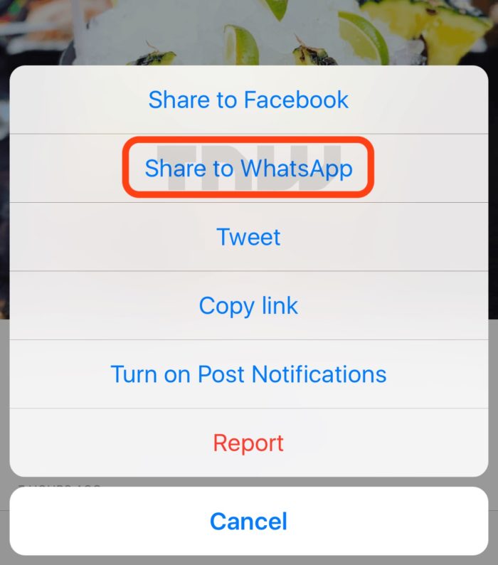 Instagram pourrait fortement évoluer : bouton de partage, Stories archivables, etc. 53 IMG 9286