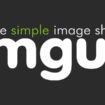 Image Sharing Site Imgur Plans Ad Push in 2015 Taps Former LinkedIn Pinterest Exec as Marketing Chief