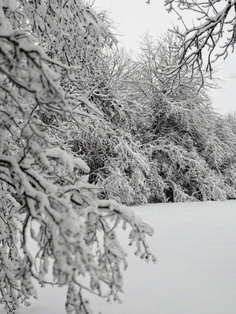 Huawei mate 10 pro 19