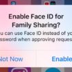 ios 11 3 approbation achat familial face id