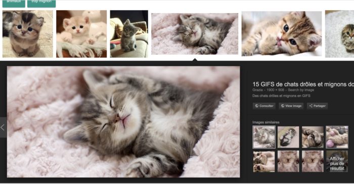 Google Images : comment récupérer le bouton « Voir l’image » ?