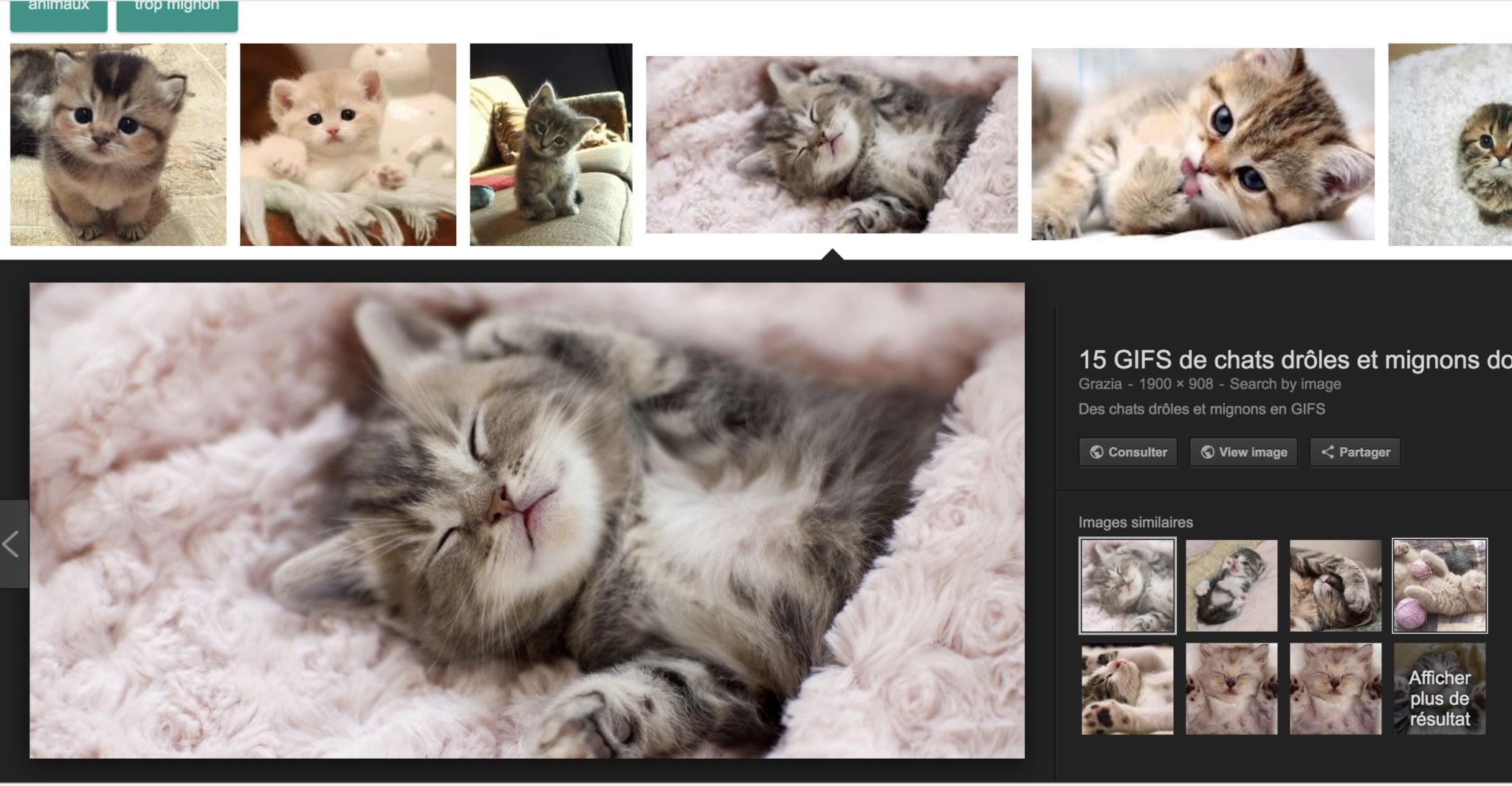 google images comment recuperer bouton voir image