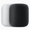 Apple Homepod wht blk 05292018