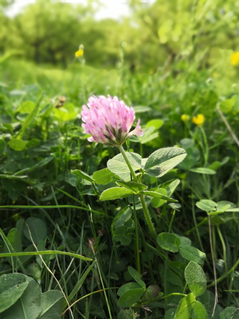 Test du Honor View 10, est-il assez costaud ? 29 IMG 20180429 153707