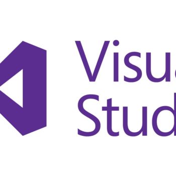 visual studio purple