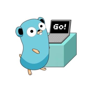 golang laptop