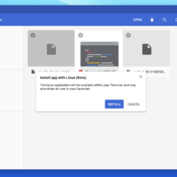 linuxinstallerdebian1