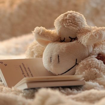 still life 3097682 1280