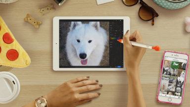 logitech crayon retail pdp 3