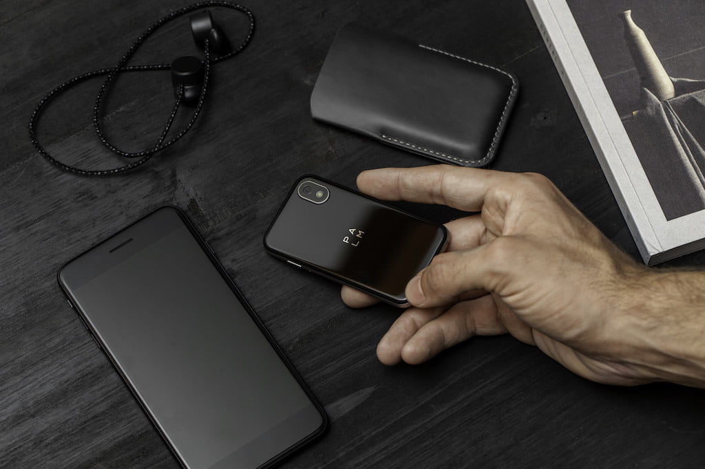 palm 6