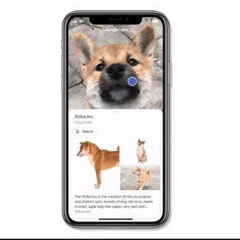 google lens est accessible depuis application recherche ios