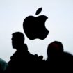 Apple Logo Store TA 692625636