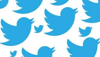 twitterbirds
