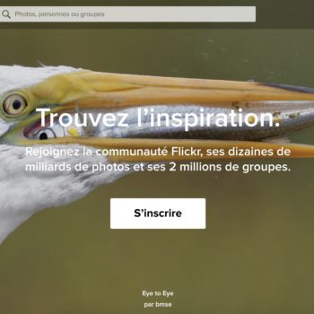 vos photos flickr vont disparaitre quoi faire des aujourdhui