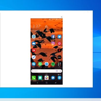 ea6a644a7837a7433b712b54a1fd7261