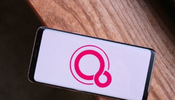 fuchsia logo hero 3