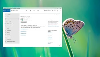 windows 10 may 2019 update 1903