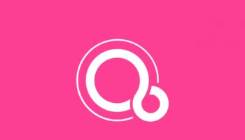 Fuchsia featured
