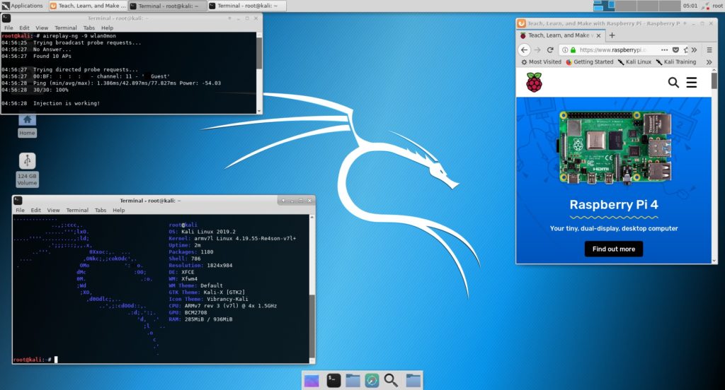 kali pi4