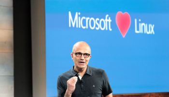 microsoftloveslinux.0.0