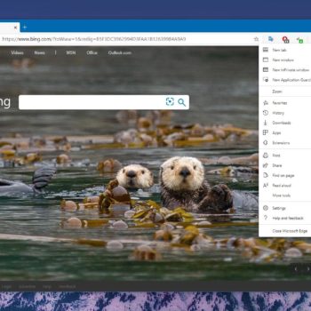 microsoft wants to launch chromium edge browser on linux and it needs your help 527592 2