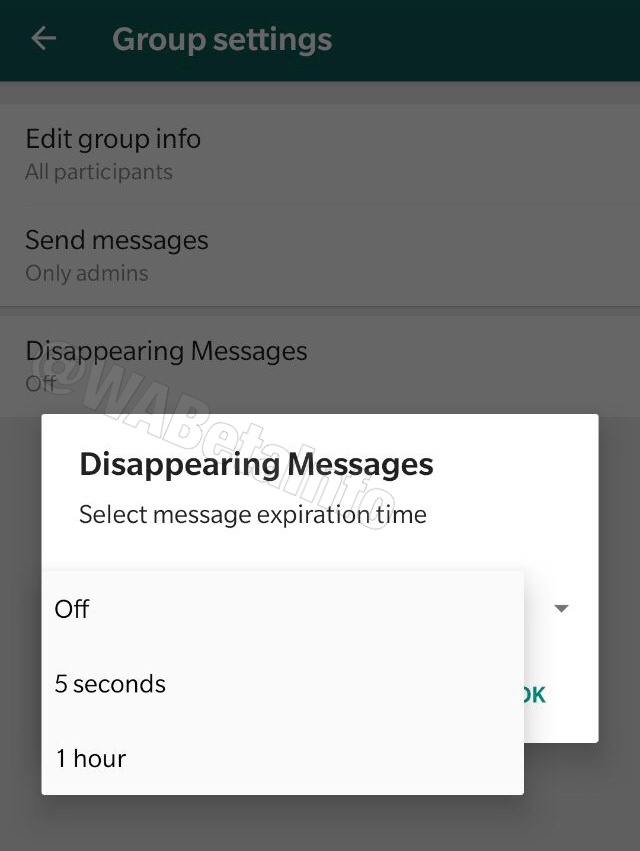 La bêta de WhatsApp suggère que les messages éphémères arrivent 52 2EE9D669 87D1 4CC2 842F 2644E7549ED9