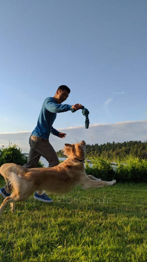 Pixel 4 : quelques échantillons de la caméra assez bluffants 62 pixel 4 camera sample action shot