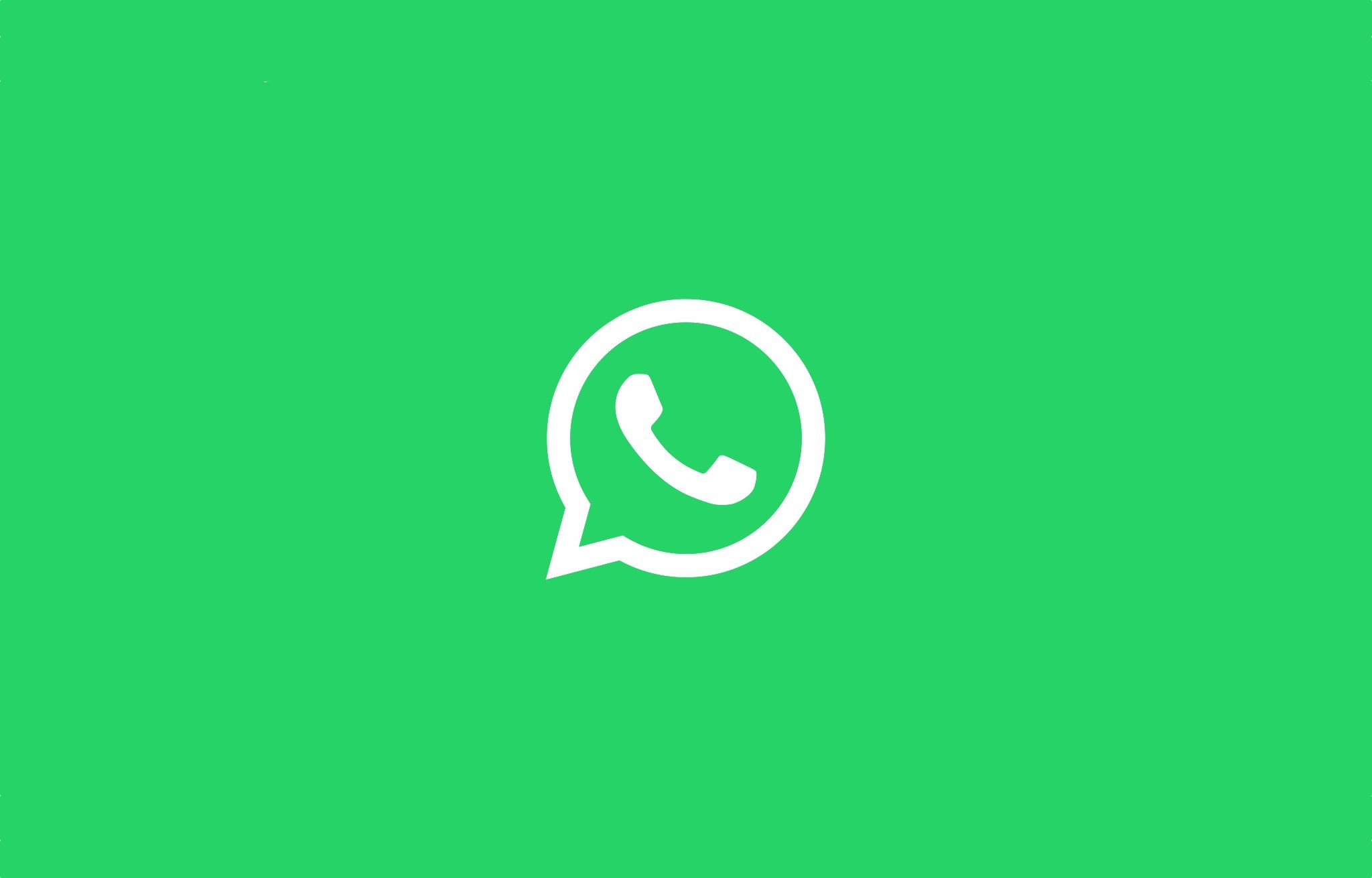 WhatsApp white logo on green bac
