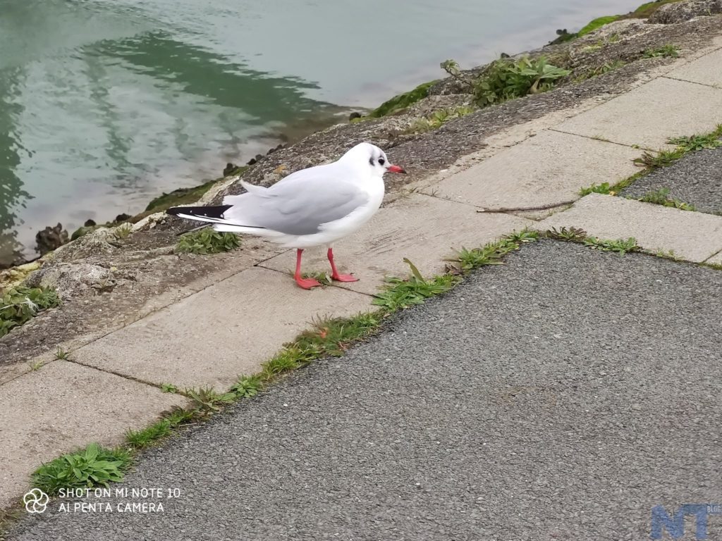 Test du Xiaomi Mi Note 10 : 6 mois après, toujours le couteau suisse pour les photographes 36 Xiaomi Mi Note 10 P 10