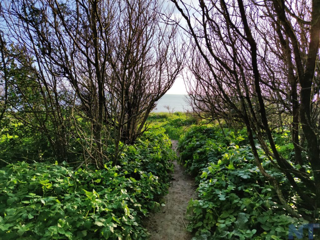 Test du Xiaomi Mi Note 10 : 6 mois après, toujours le couteau suisse pour les photographes 35 Xiaomi Mi Note 10 P 2