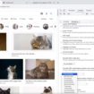 Chrome Dev Tool Simulates Vision