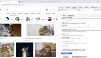 Chrome Dev Tool Simulates Vision