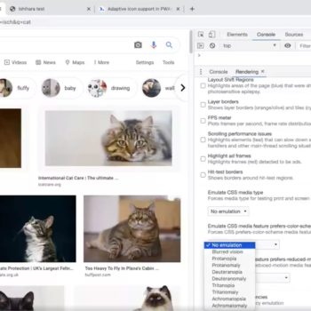 Chrome Dev Tool Simulates Vision