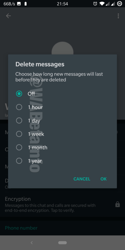 WhatsApp pourrait introduire les messages autodestructibles pour les chats individuels 52 Delete Message Time2