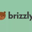 brizzly .0