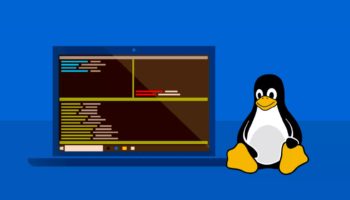 windowslinux.0