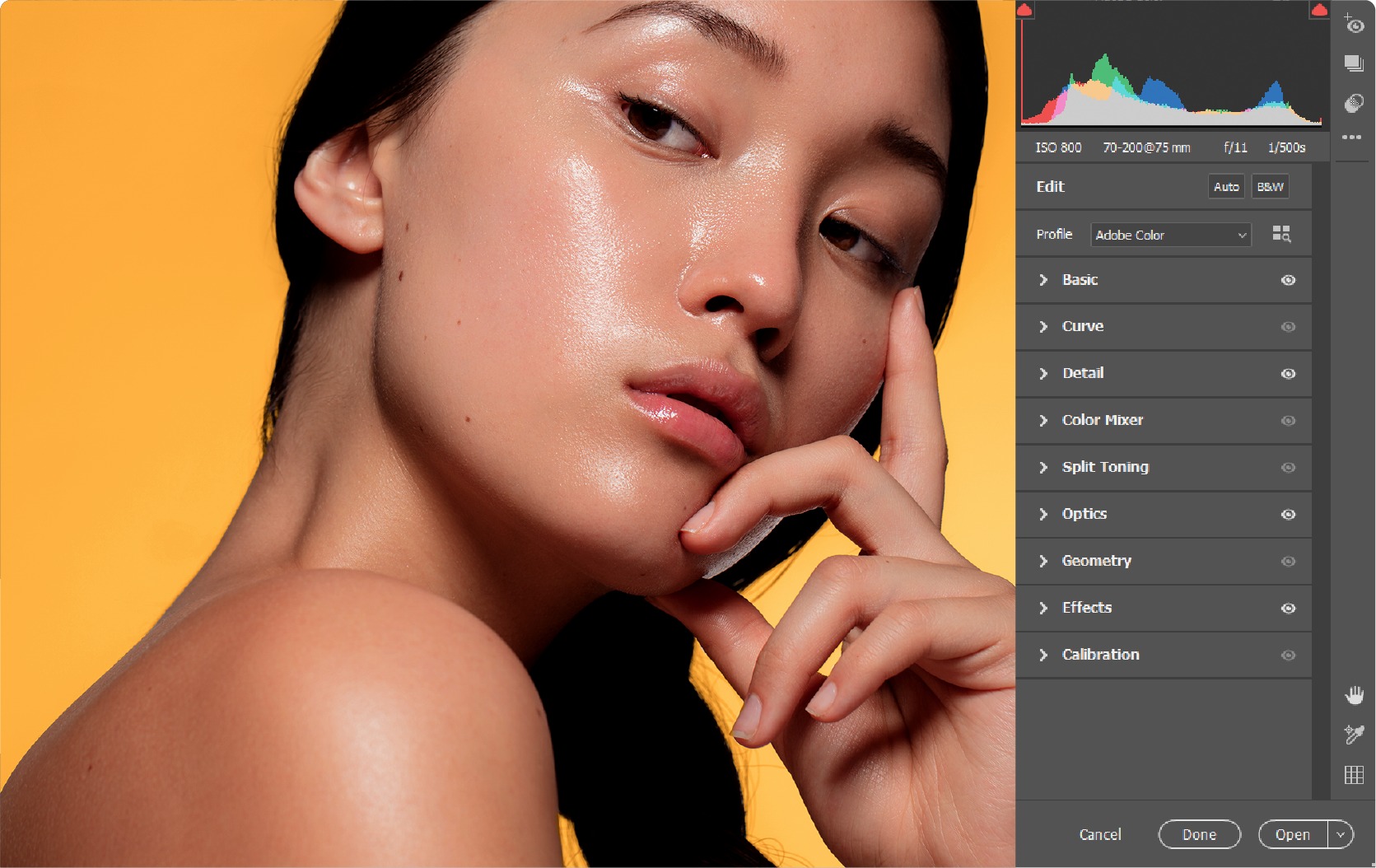 Photoshop permet de sélectionner les cheveux d’un sujet humain en un seul clic