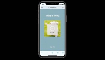 safari 14 support face id touch