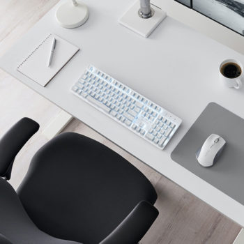 productivity cat hero